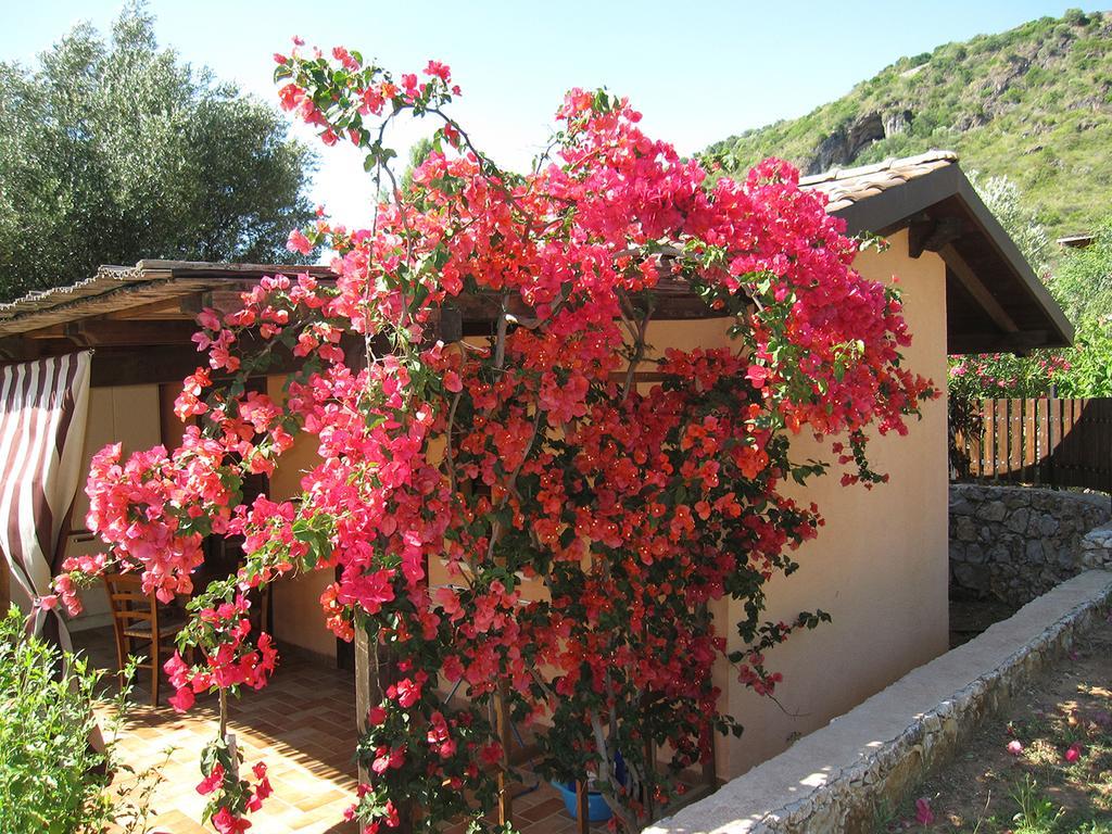 Family Resort Cala Di Luna Marina di Camerota Zewnętrze zdjęcie